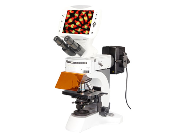 LCD.06.NB100 LCD Inverted Flourescent Microscope